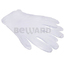 notify_thumb