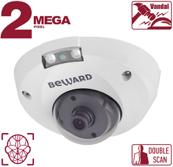 IP видеокамера B2530DMR