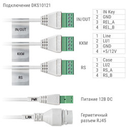 Многоабонентский IP-домофон DKS10121